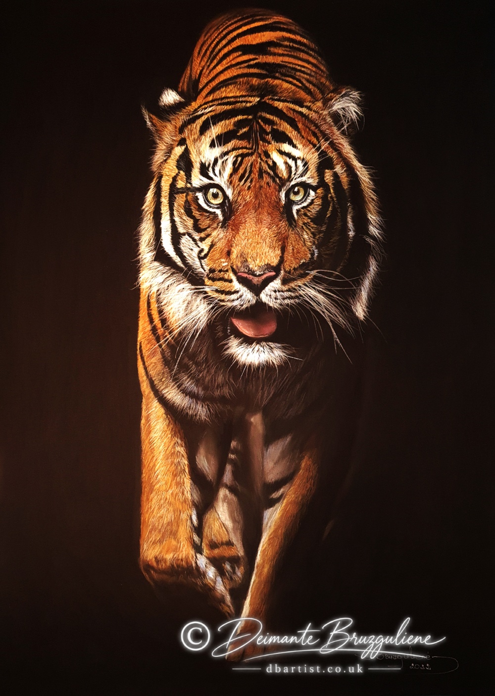 Royal, Soft pastel on Pastelmat by Deimante Bruzguliene