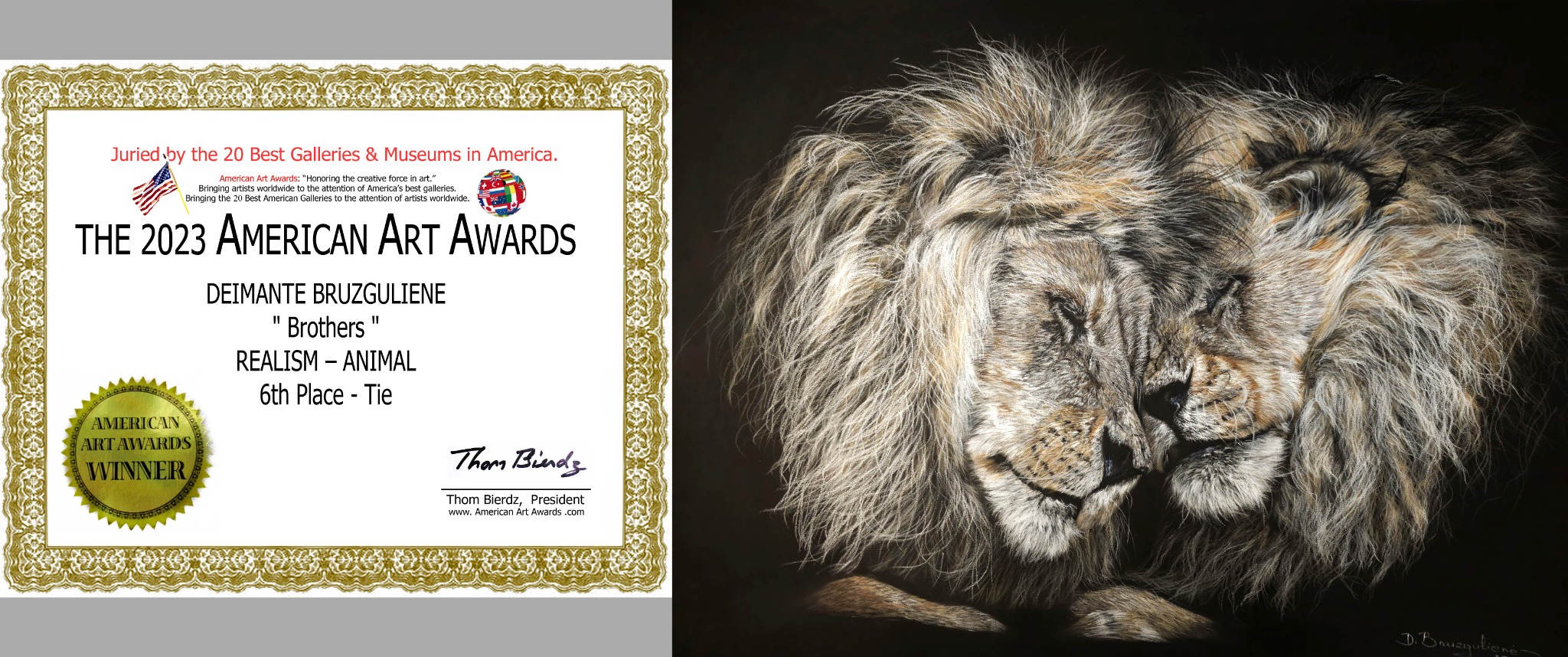 American Art Awards — 6th Place (Tie) — recognition for Deimante Bruzguliene